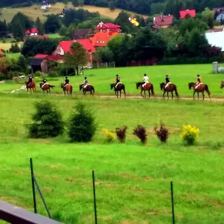 Affittacamere Panorama Wysowa-Zdrój